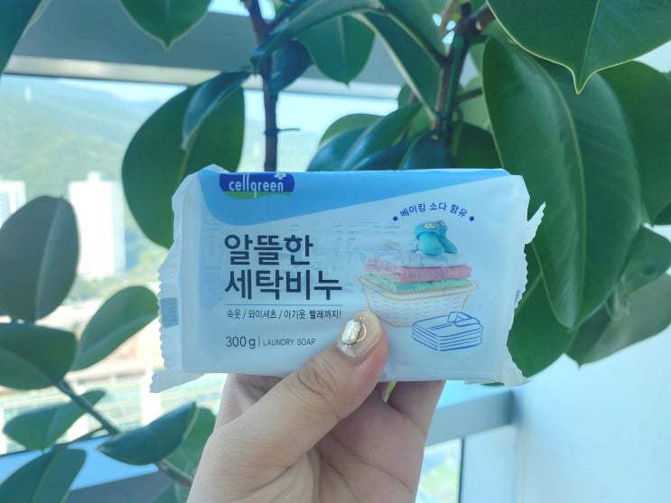  애벌빨래도 거뜬한 셀그린 알뜰한 세탁비누 가성비 최고