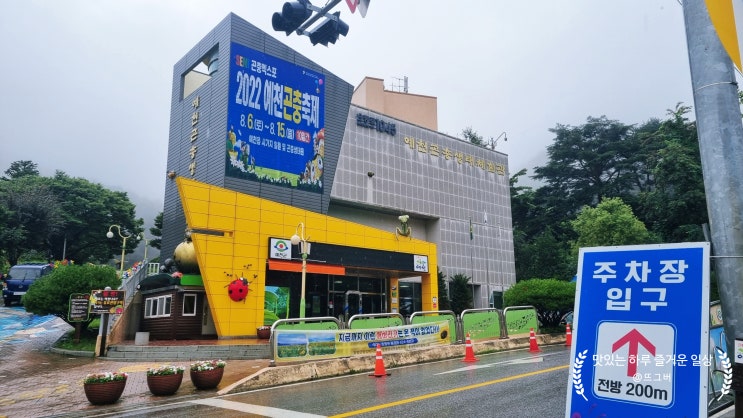  경북 예천 곤충 박물관 후기 /보고 즐기고 힐링의 장소