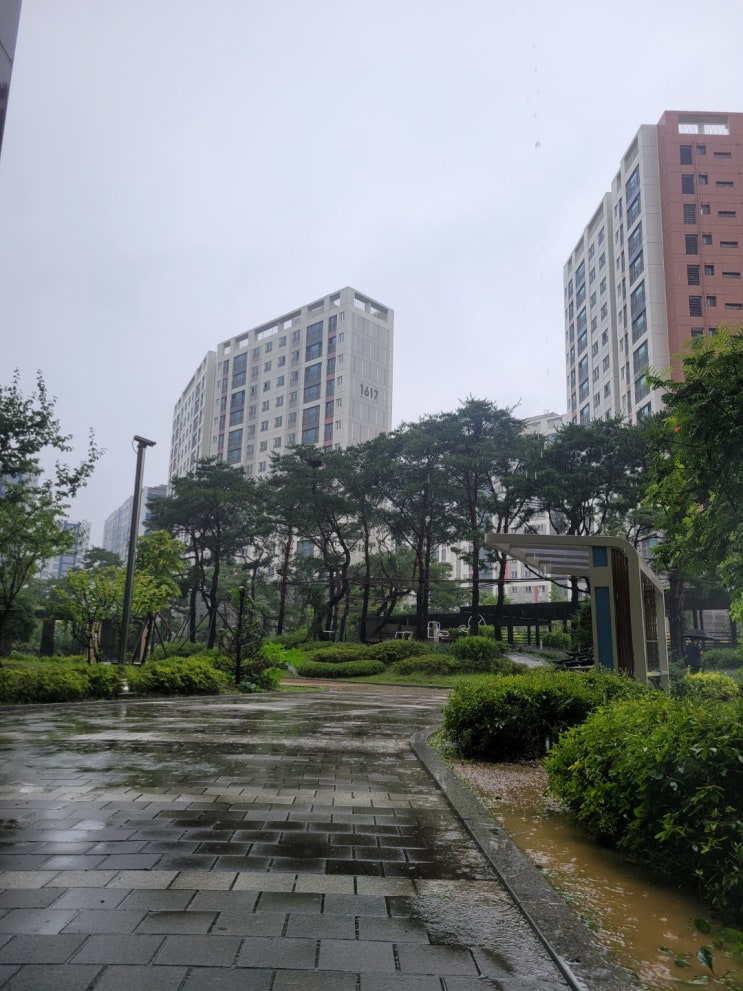 ( 동탄 탄성코트 ) 동탄 2신도시 동탄역 더샵 센트럴시티 2차 아파트 베란다 곰팡이 탄성코트 시공후기