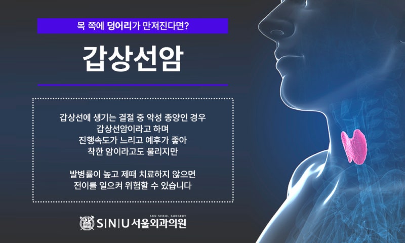 갑상선암보험 및 여성암보험의 특징을 조사하여 활용하다
