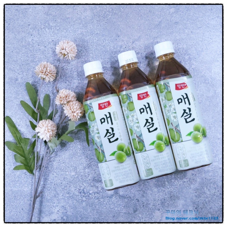 건강한 저칼로리매실차 상큼함이 매력이야