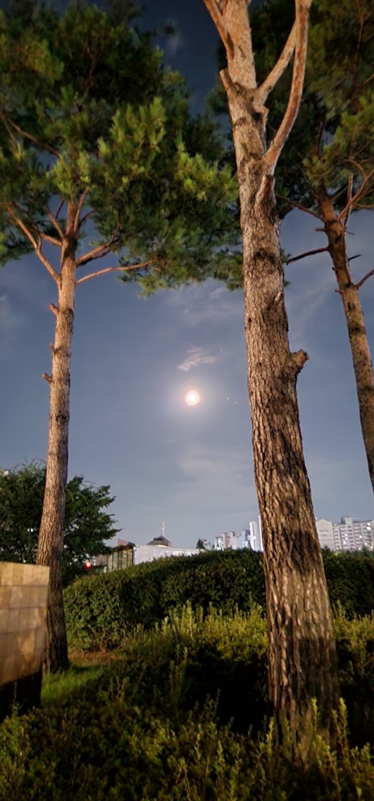  슈퍼문 철갑상어, 2022년 8월 12일 밤 산책 기록