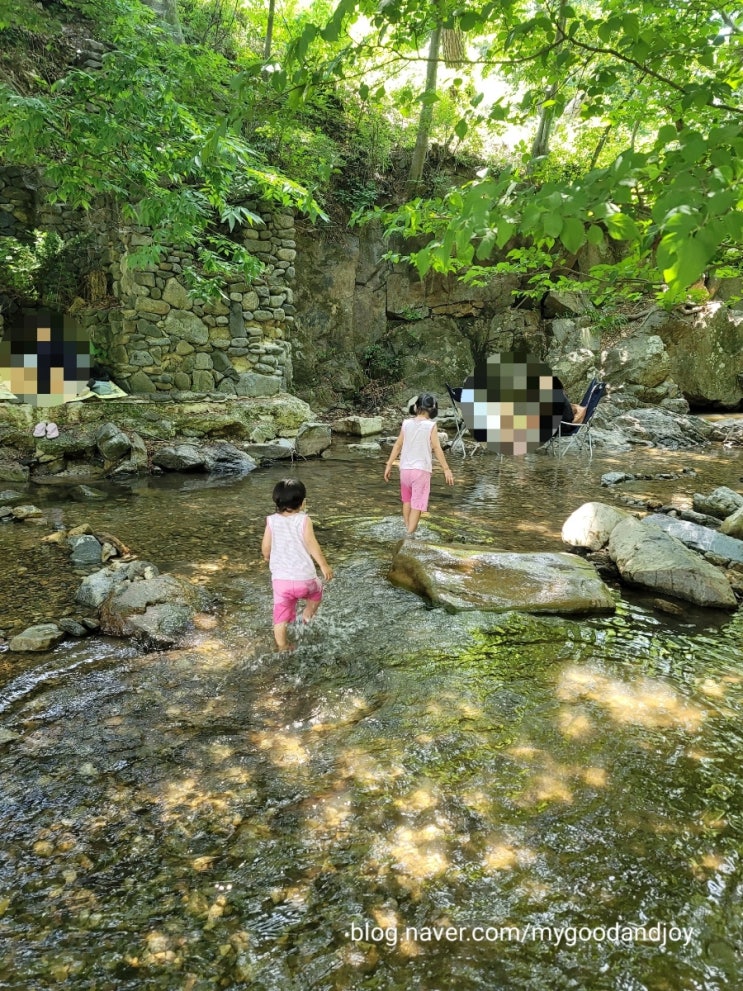 아산 강당골계곡(2021년 6월 20일) 아산 강당골계곡(2021년 6월 20일)