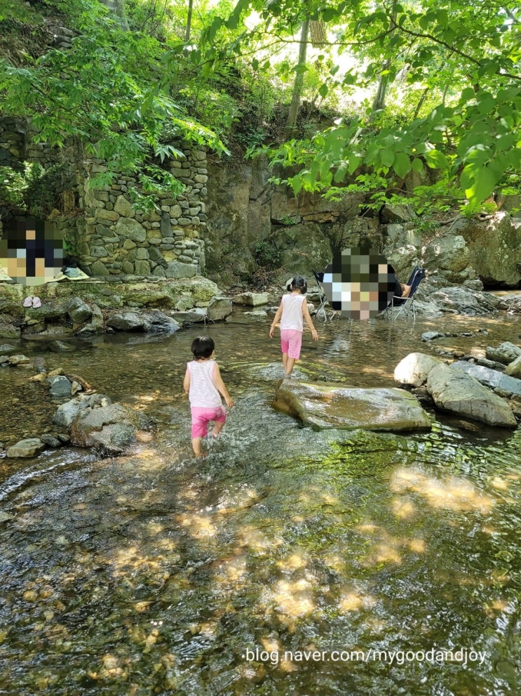 아산 강당골계곡(2021년 6월 20일)