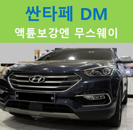  싼타페 DM, 무스웨이 솔루션 적용하기!