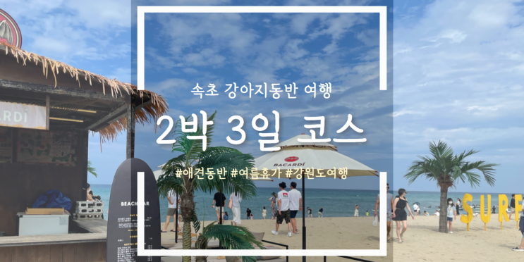 속초 강아지동반 식당 카페 관광지 총정리 속초 강아지동반 식당 카페 관광지 총정리