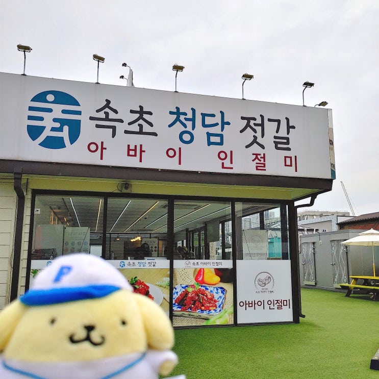 속초 여름휴가 여행코스 돌기 13편-속초 청담젓갈&아바이인절미에서 떡을 사가보자 속초 여름휴가 여행코스 돌기 13편-속초 청담젓갈&아바이인절미에서 떡을 사가보자