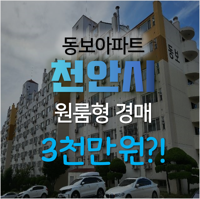 천안 동남구 안서동 동보아파트 원룸 경매로 3천만원?