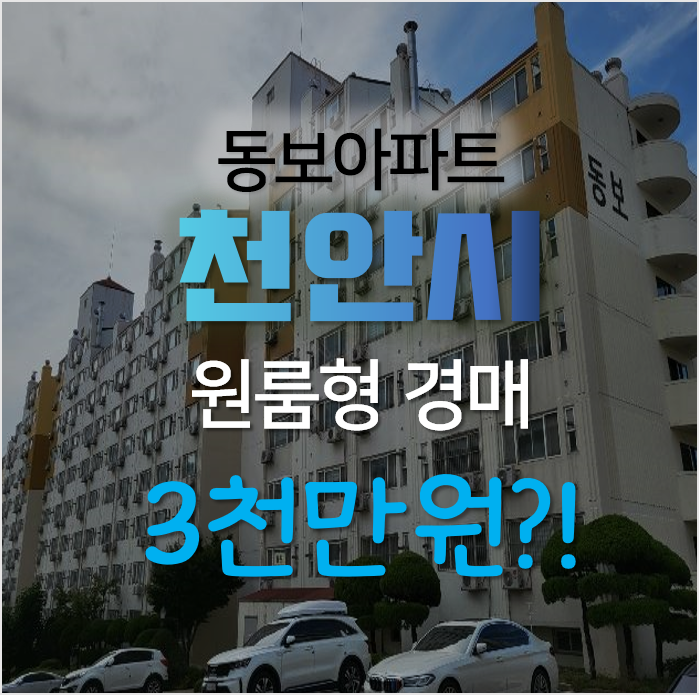천안 동남구 안서동 동보아파트 원룸 경매로 3천만원? 천안 동남구 안서동 동보아파트 원룸 경매로 3천만원?