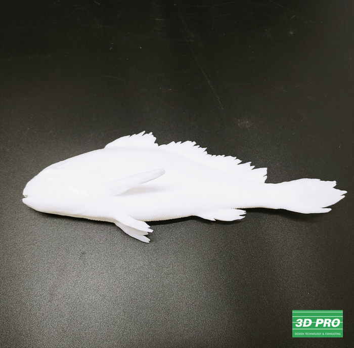 3D 프린팅 물고기 출력물 제작/3D 프린터로 시제품 제작/대학생 졸업작품/SLA 레이저 방식/ABS Like 레진 소재/쓰리디프로/3D프로/3DPRO