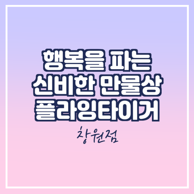  행복을 파는 신비한 만물상 플라잉타이거 창원점