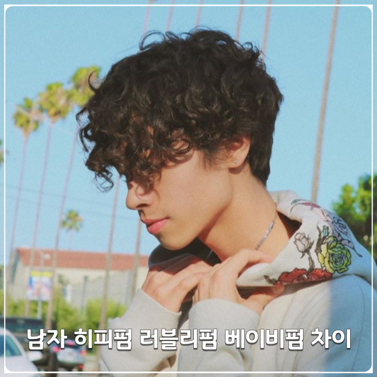 2022 남자 히피펌 베이비펌 러블리펌 차이 2022 남자 히피펌 베이비펌 러블리펌 차이
