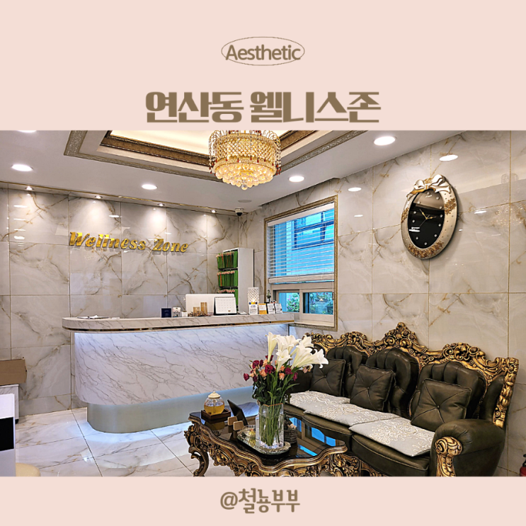  부산신부관리로 유명한 부산에스테틱 연산동 웰니스존