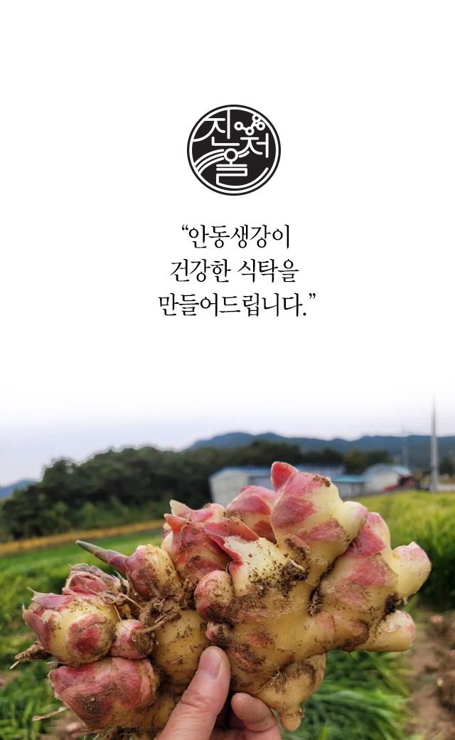  #안동생강진액