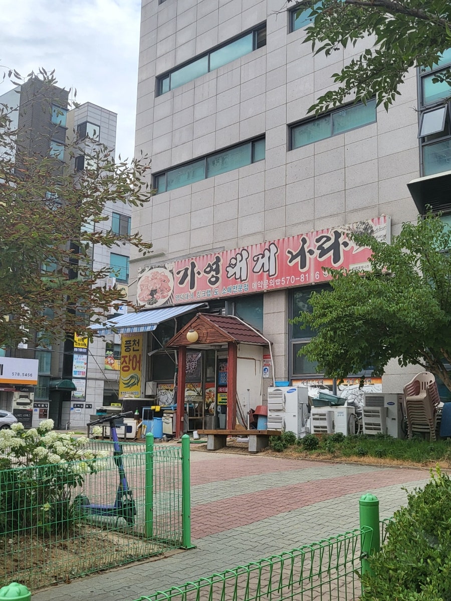 가영대게나라 사진 4