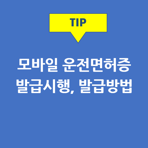  모바일 운전면허증 발급 시행 & 2가지 발급 방법 (IC운전면허증, 창구QR코드 발급)