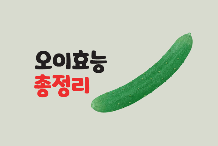  오이효능, 종류 영양성분 및 칼로리
