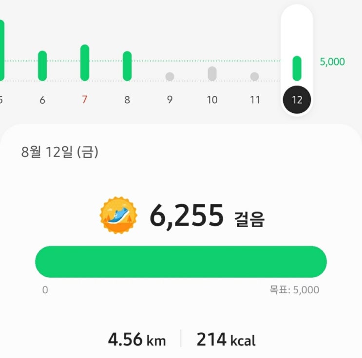  저녁산책 그리고 텃밭 초록 참외