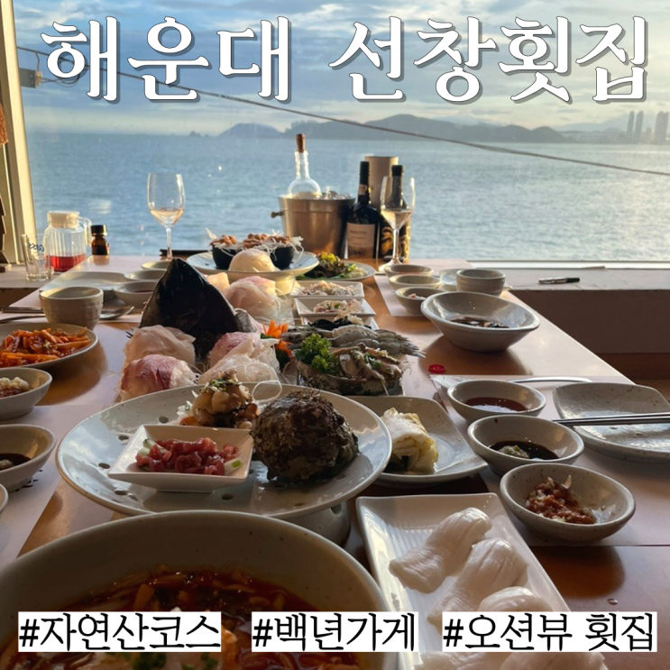  해운대 미포 맛집: 자연산 회 팔며 백년가게로 선정 된 오션뷰횟집"선창횟집"