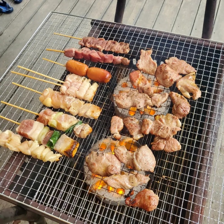  8월 둘째 주 주간일기