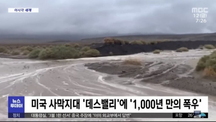  미국 사막에 폭우가