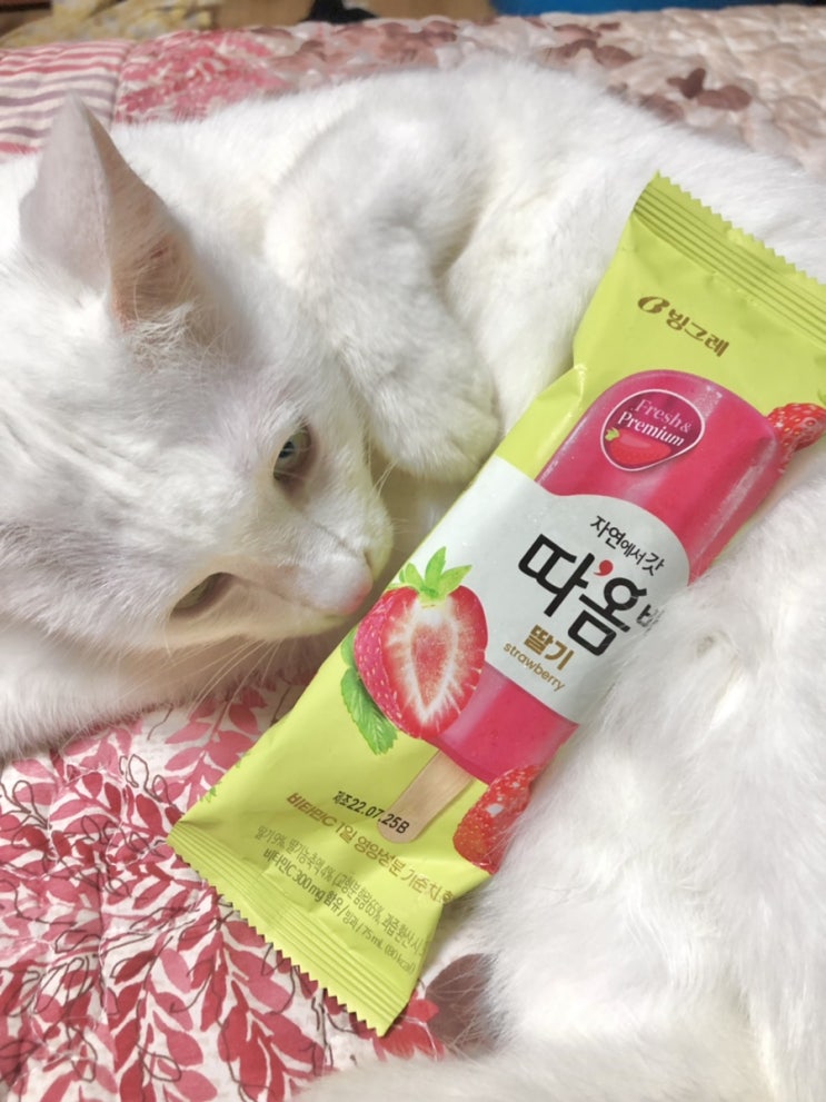  코로나 냉 질 분비물 , 자가격리 5일차 기록