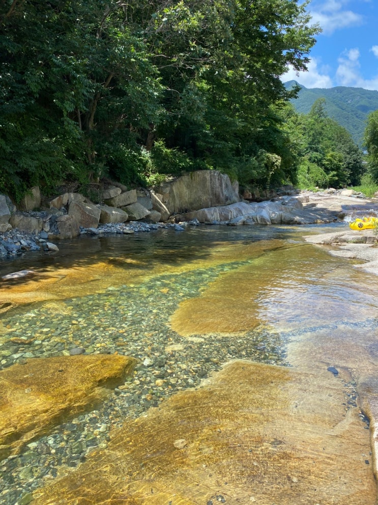  [울산]울산 근교 언양 작천정 계곡 평상/수영하기 좋은 백숙집 반석촌 내돈내산 후기!