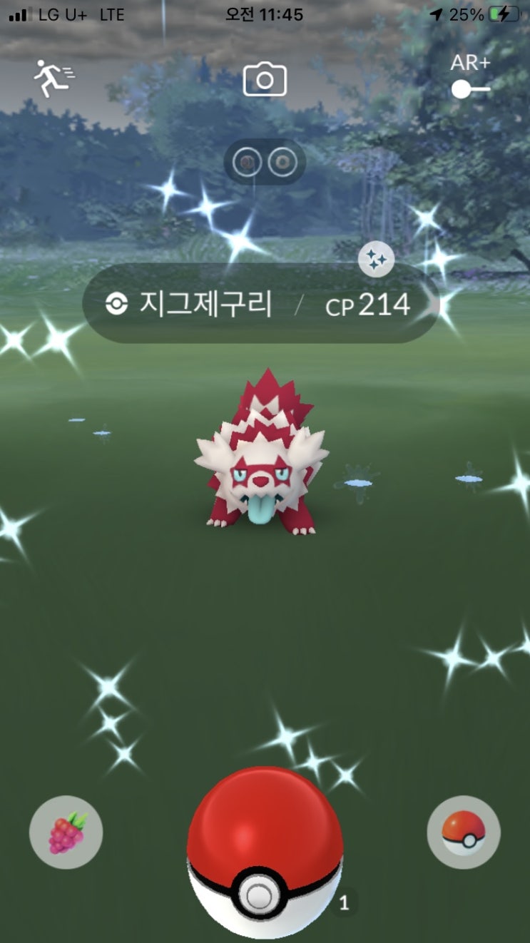  가라르 지그제구리 이로치