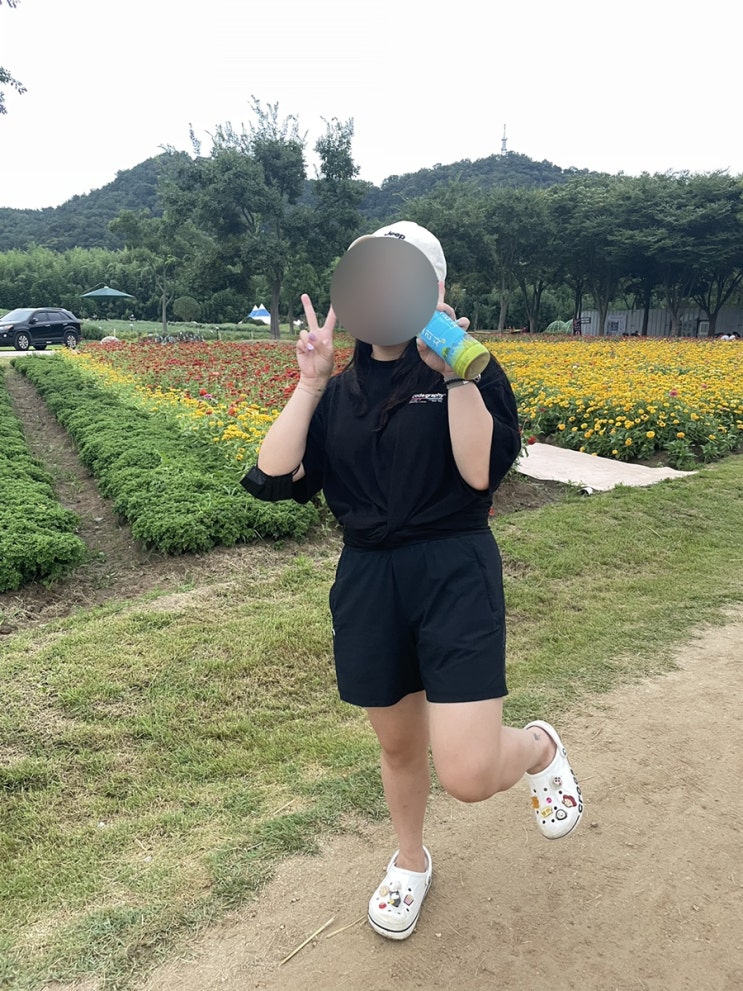  8월 2주차 주간일기