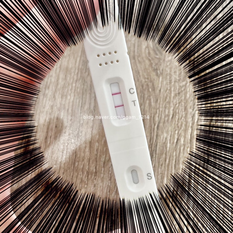  8월 둘째주 주간일기 내가 확진자라니