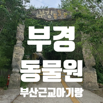 15개월 아기의 첫 동물원 방문기 ; 김해 부경동물원