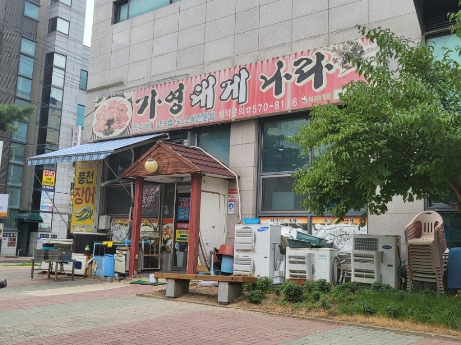 가영대게나라 사진 5