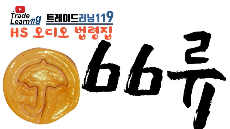  [HS 66류] 어려운 HS 들으면서 외우자!! 2022년 HS, 관세율표 오디오 법령집_66류