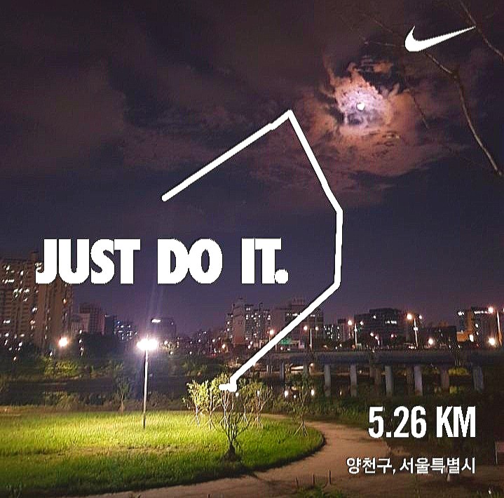  [러닝] 나의 애정하는 서울 안양천 산책/러닝 코스️