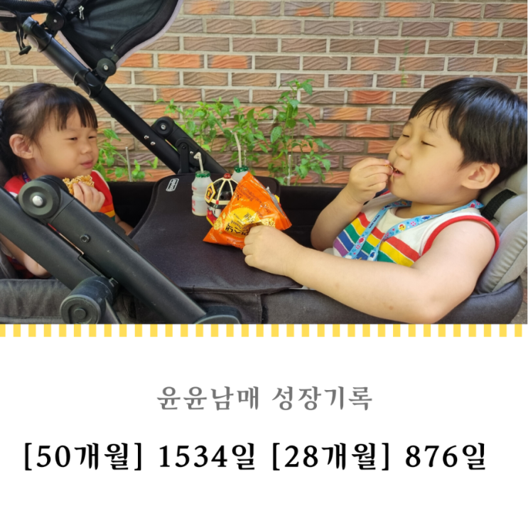  1534일 876일 : 부릉부릉 전동차
