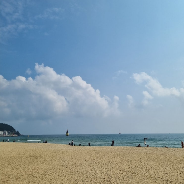  2021년 10월 부산 1박 2일 먹방 여행 : 밀양돼지국밥-광안리수변공원회센터-해운대포장마차촌
