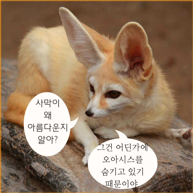  좋은 짧은 추천 외국시 모음: 헤르만 헤세 시 "행복",오늘의 짧은 인생 감동 명언 모음 365, 좋은 사랑 감성 짧은 글귀,웃긴 말풍선짤.동물밈