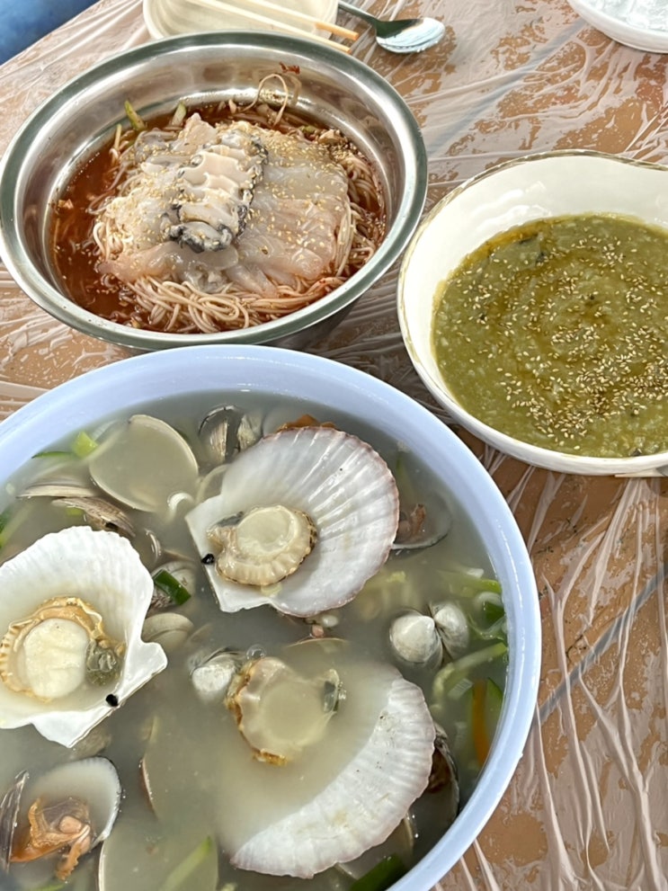  [만리포 너울횟집] 해물칼국수와 물회 전복죽 인생맛집 태안 찐맛집!!