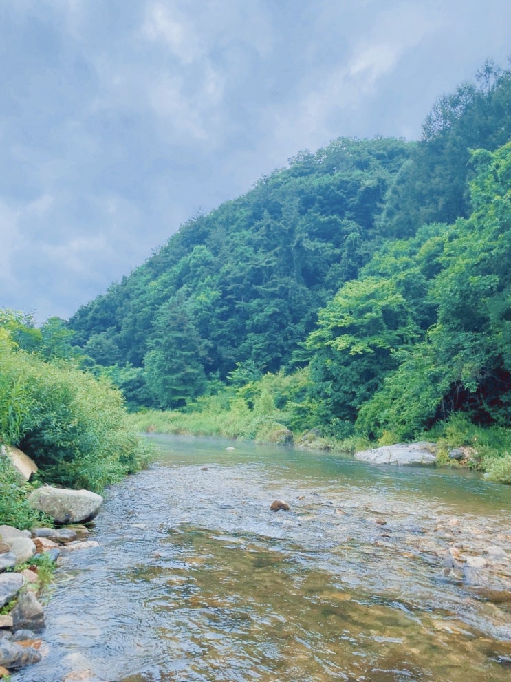  [블챌 주간일기]하마터면 못쓸뻔한 8월 첫째주 이야기(8.1-8.6)