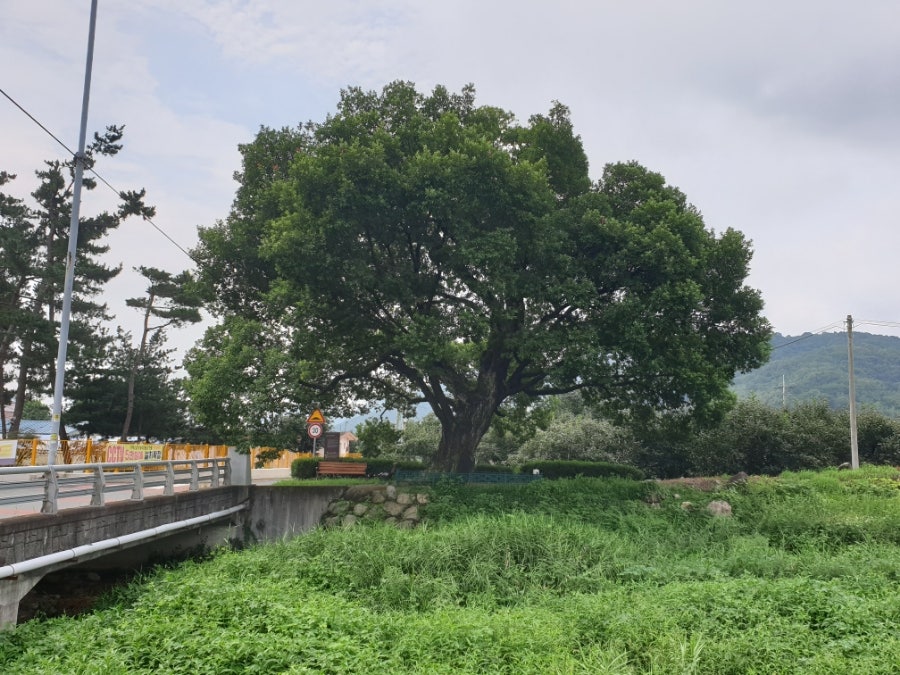 덕산풍년떡집 사진 6