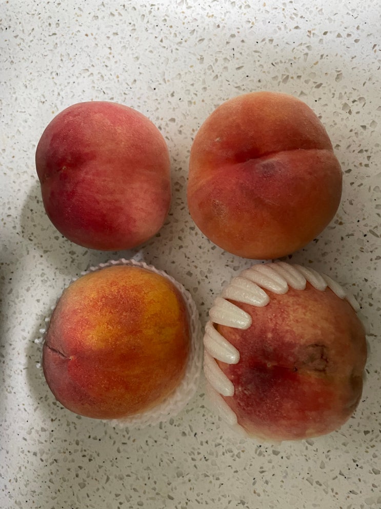  복숭아 맛 경연대회(미당농원 황도, 진맛과 황월 복숭아, 경산 백도 복숭아, 현대백화점 무역센터점 백도) 내돈내산 당도비교