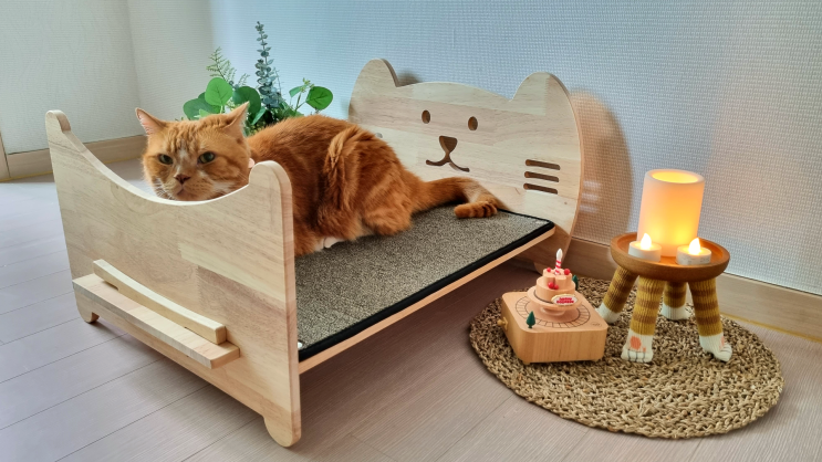  고양이 스크래쳐 인기 만점 파파냥 침대 스트레스 해소에 제격!