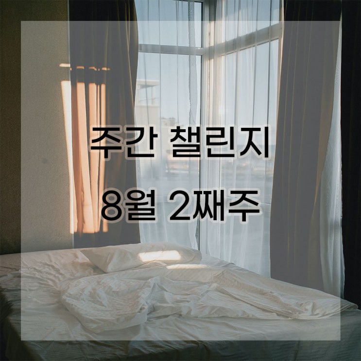  많은 것들을 했던 [8월2주차] 블챌 이게 유행인가봐