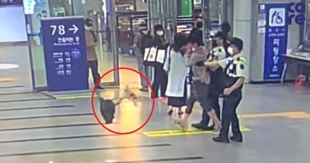 (영상) 평택역 강아지 포메 학대남 가방에 넣고 힘껏 휘둘러 바닥에 패대기 수사 중
