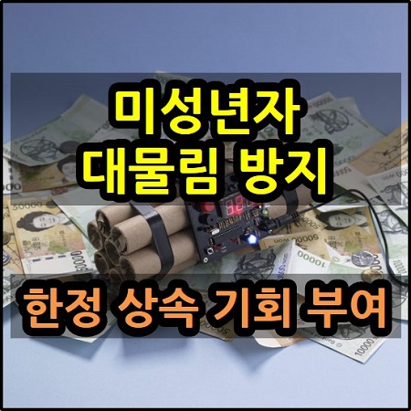 부모가 진 빚을 대신 갚으라고요? 미성년자 채무 대물림 방지 한정승인 상속포기