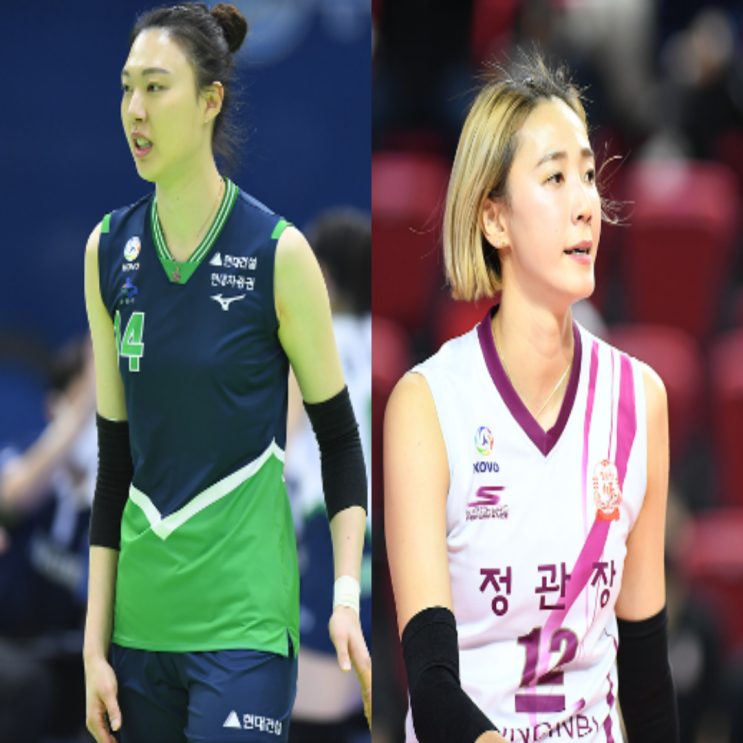  현대건설 인삼공사 여자배구 도드람컵 경기예상(양효진 고예림 김다인 한송이 고의정 김채나)