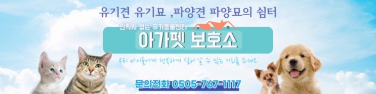 강아지파양 아가펫보호소