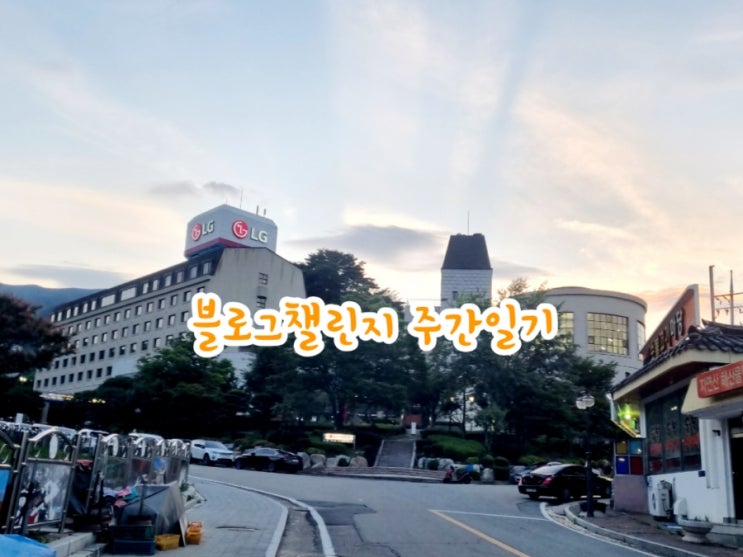  [블챌] 주간일기 챌린지 8/5~8/12