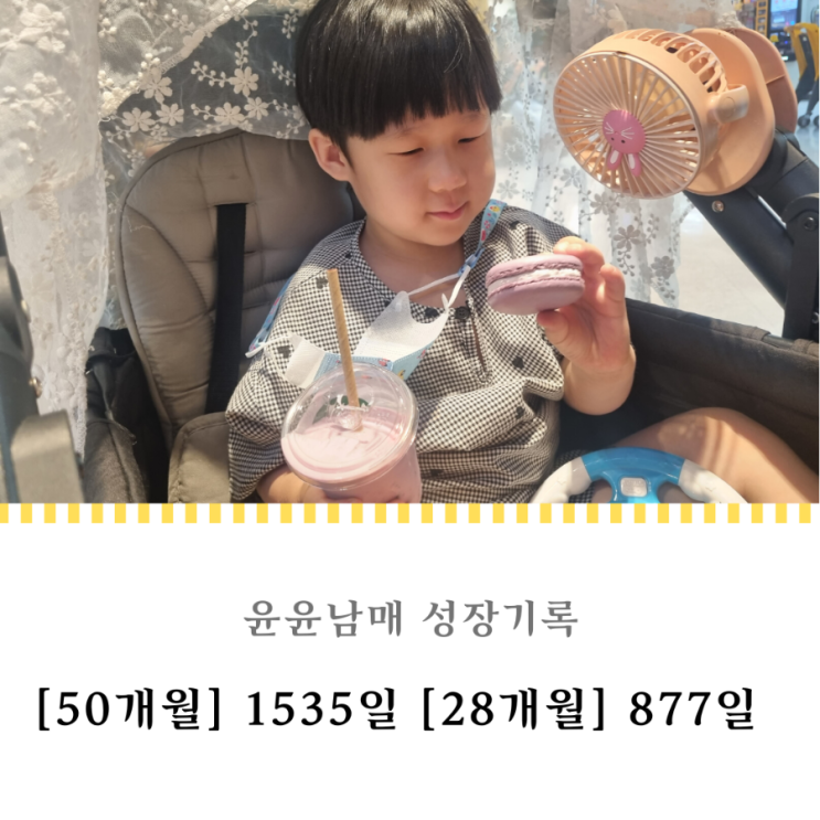  1535일 877일 : 갑작스럽게 온 비