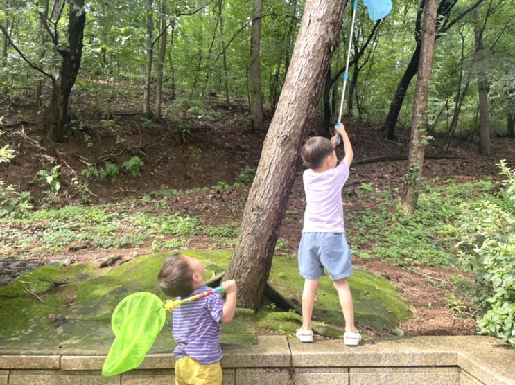 아이들에겐 자연이 최고!